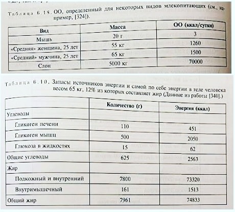 Таблица содержания ккал