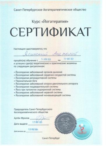 Сертификат йогатерапевта, СПб Йогатерапевтическое общество